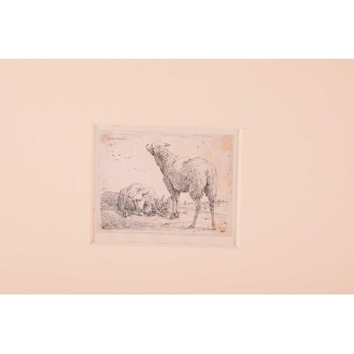 108 - Karel Dujardin (1626-1678) Dutch, three small etchings, studies of sheep, each circa 8 cm x 10 cm, t... 