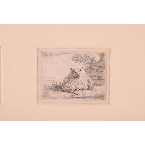 108 - Karel Dujardin (1626-1678) Dutch, three small etchings, studies of sheep, each circa 8 cm x 10 cm, t... 