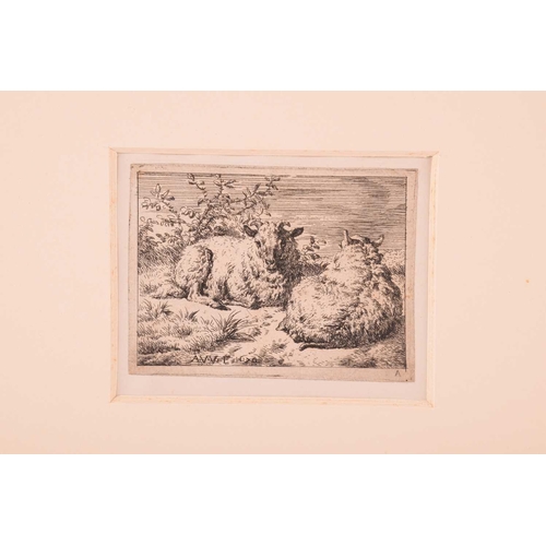 108 - Karel Dujardin (1626-1678) Dutch, three small etchings, studies of sheep, each circa 8 cm x 10 cm, t... 