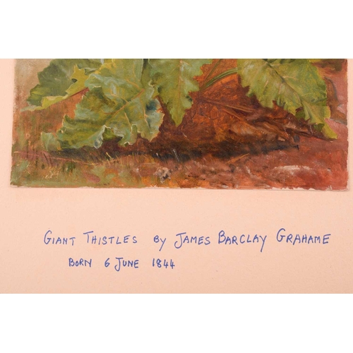 109 - James Barclay Grahame (1884-1882), 'Giant Thistles', oil on paper, 34.5 cm x 24.5 cm, together with ... 