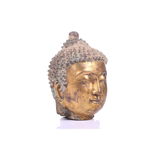 124 - A Sino-Tibetan gilt bronze head of a Buddha, with elongated earlobes, tightly curled hair with domed... 