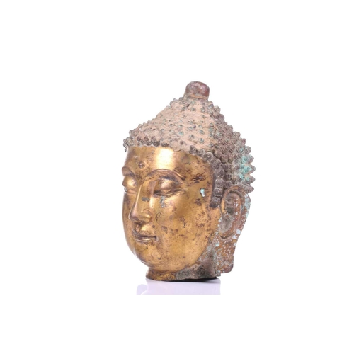 124 - A Sino-Tibetan gilt bronze head of a Buddha, with elongated earlobes, tightly curled hair with domed... 