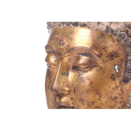 124 - A Sino-Tibetan gilt bronze head of a Buddha, with elongated earlobes, tightly curled hair with domed... 