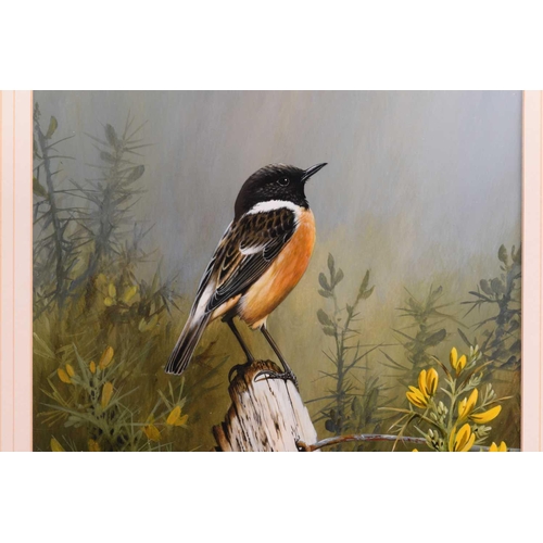 16 - † Terance James Bond (b.1946) British, 'European Stonechat', the bird perched on a stump before yell... 