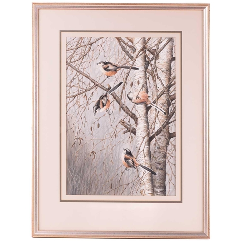 28 - † Terance James Bond (b.1946) British, 'Long Tailed Titmice', a group of four birds in a tree, acryl... 