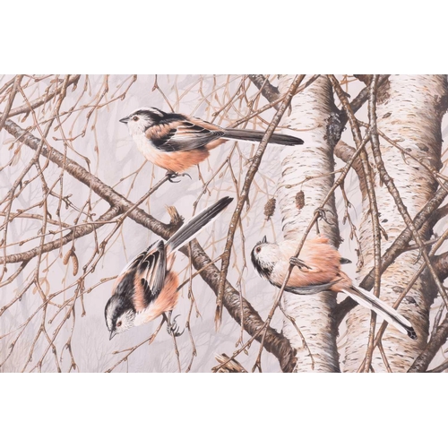 28 - † Terance James Bond (b.1946) British, 'Long Tailed Titmice', a group of four birds in a tree, acryl... 