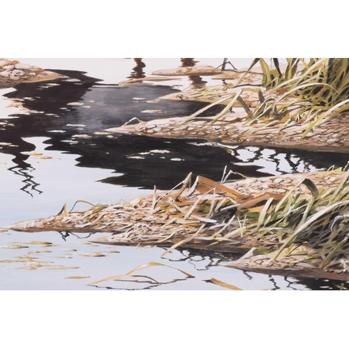 29 - † Terance James Bond (b.1946) British, 'Lapwing (Green Plover)', acrylic, the bird in shallow water,... 