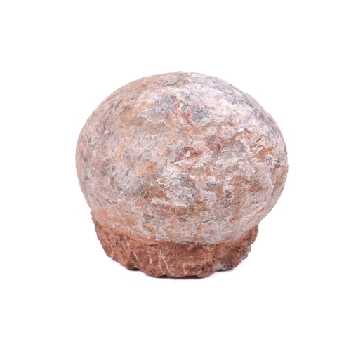 298 - A fossilised dinosaur egg, in a red stone base, 14 cm total height, 15 cm wide