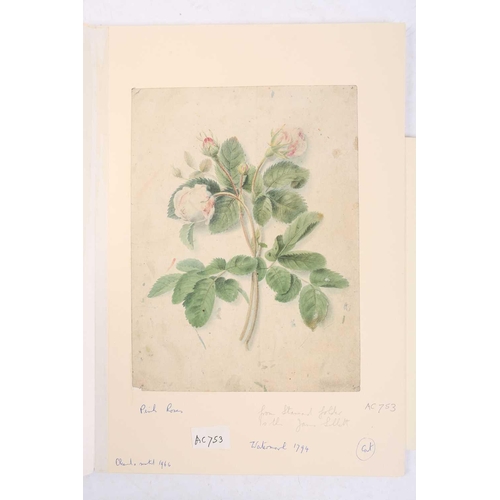 65 - Emily Stannard (1803-1885), [known as 'Mrs Joseph Stannard'], ten still studies of flowers, watercol... 