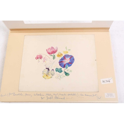 65 - Emily Stannard (1803-1885), [known as 'Mrs Joseph Stannard'], ten still studies of flowers, watercol... 