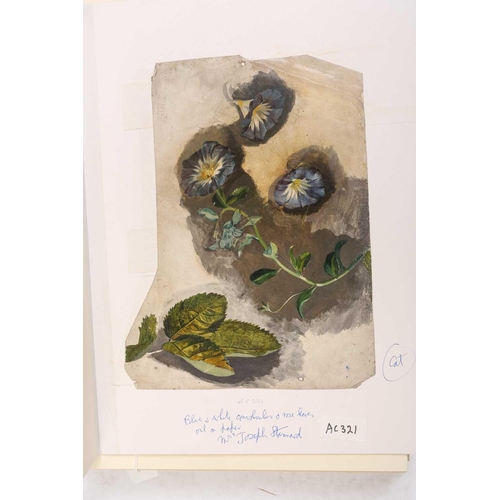 65 - Emily Stannard (1803-1885), [known as 'Mrs Joseph Stannard'], ten still studies of flowers, watercol... 