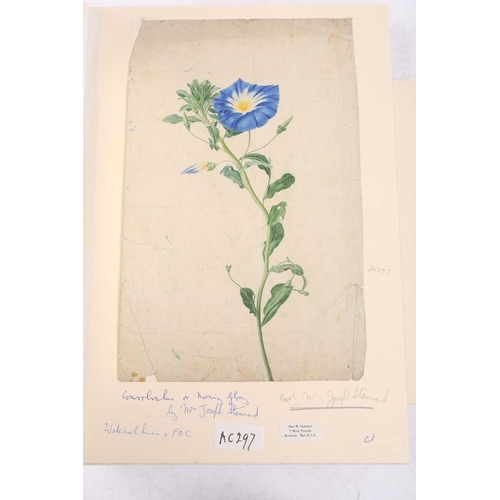 65 - Emily Stannard (1803-1885), [known as 'Mrs Joseph Stannard'], ten still studies of flowers, watercol... 