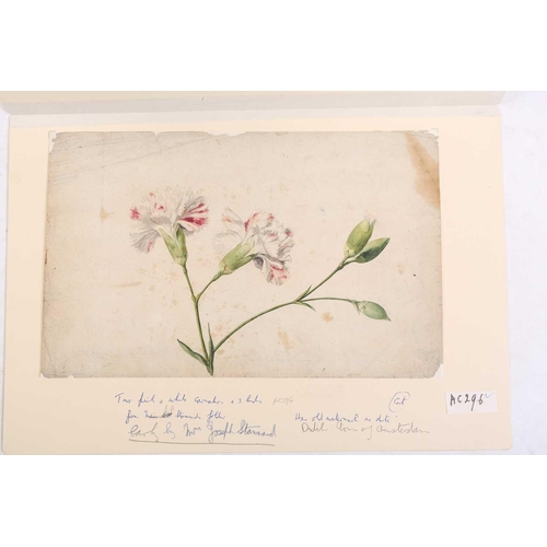 65 - Emily Stannard (1803-1885), [known as 'Mrs Joseph Stannard'], ten still studies of flowers, watercol... 