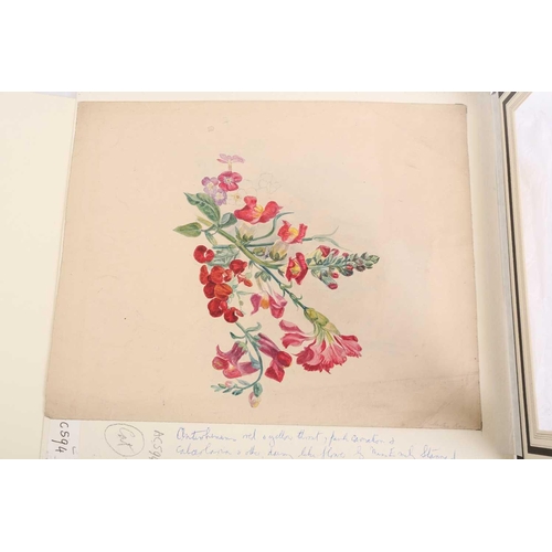 79 - 'The Stannard Folder', a large collection of watercolour and pencil sketches, studies and exercise p... 