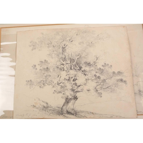 90 - A folio of pencil works on paper by the Gurney family, some pupils of John Crome (1768-1821), compri... 