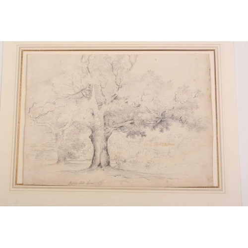 90 - A folio of pencil works on paper by the Gurney family, some pupils of John Crome (1768-1821), compri... 