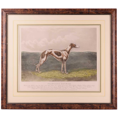 93 - After Edwin Henry Hunt, a pair of greyhound engravings, depicting Wild Mint and Princess Dagmar, lat... 