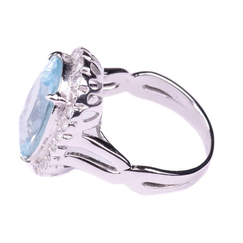 318 - An aquamarine and diamond cluster ring, set with an aquamarine measuring 16.2mm x 10.8mm, encircled ... 