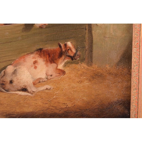 13 - Follower of Thomas Sydney Cooper (19th century), Cow and her calf in a shed, unsigned, oil on canvas... 