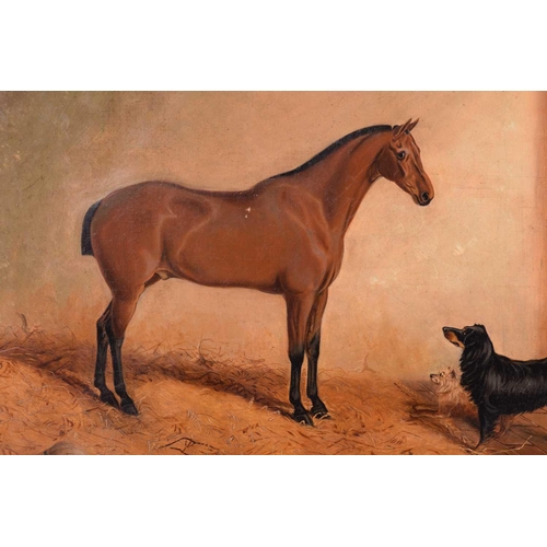 26 - Manner of Charles Edwin Baldock (1876 - 1941), racehorse in a stable with two dogs, unsigned, oil on... 