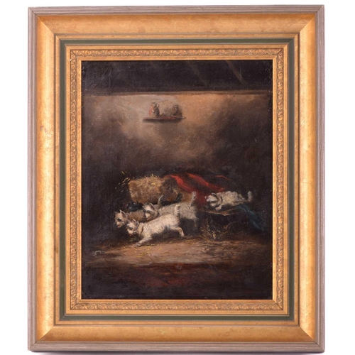 29 - Attributed to George Armfield (1808 - 1893), Terriers ratting - a pair, unsigned, oil on canvas, 28 ... 