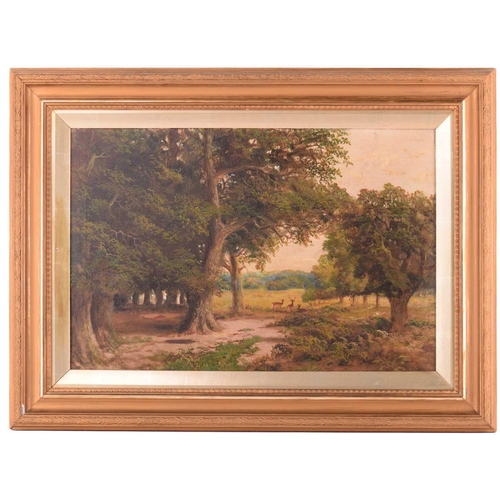 36 - J. Lewis (19th Century), Deer in Windsor Great Park, signed, oil on canvas, 41 x 61 cm, in a later g... 