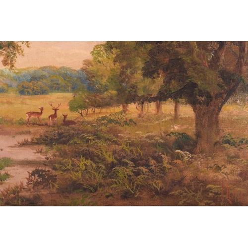 36 - J. Lewis (19th Century), Deer in Windsor Great Park, signed, oil on canvas, 41 x 61 cm, in a later g... 