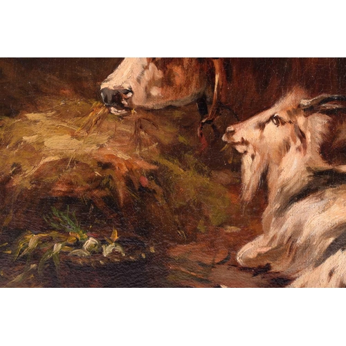 42 - Late 19th Century British School, horned cow and goat in a barn, unsigned, oil on canvas, 29.5 x 44 ... 