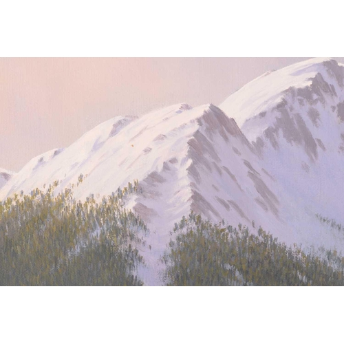 46 - † Simon Harling (b.1950), Two views of Swiss Oberland - a pair, unsigned, oil on canvas, 61 x 112 cm... 