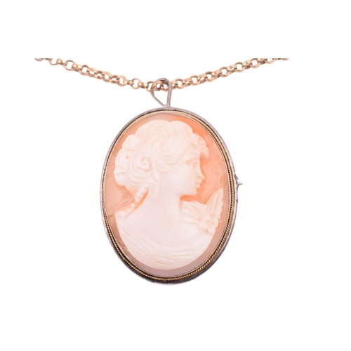 56 - A shell cameo brooch measuring 33 x 25mm in white metal marked '800', on a gold chain with hallmarks... 