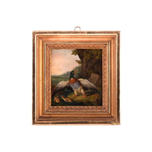 201 - X. Förg (19th century), Ducks and their young, a pair, one signed and dated 1843, oil on panel, 13 x... 