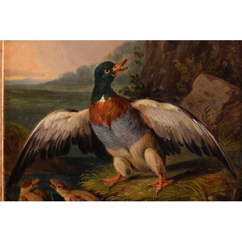 201 - X. Förg (19th century), Ducks and their young, a pair, one signed and dated 1843, oil on panel, 13 x... 