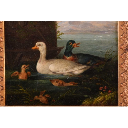 201 - X. Förg (19th century), Ducks and their young, a pair, one signed and dated 1843, oil on panel, 13 x... 