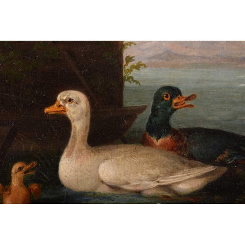 201 - X. Förg (19th century), Ducks and their young, a pair, one signed and dated 1843, oil on panel, 13 x... 