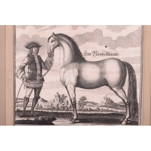 104 - Andreas and Engelhard Nunzer (Early 18th century) German, Horse Breeds - a set of six with handlers ... 