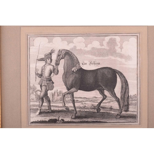 104 - Andreas and Engelhard Nunzer (Early 18th century) German, Horse Breeds - a set of six with handlers ... 