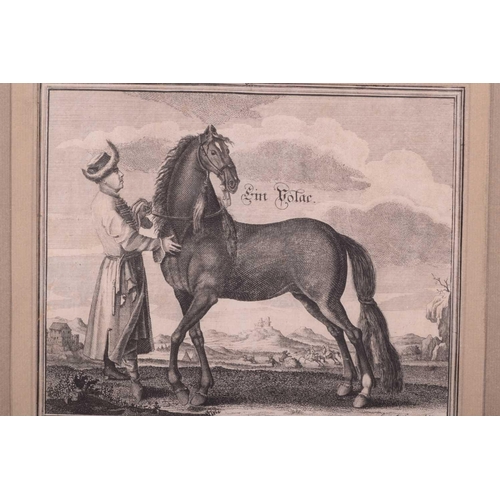 104 - Andreas and Engelhard Nunzer (Early 18th century) German, Horse Breeds - a set of six with handlers ... 