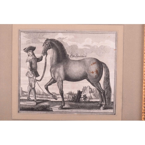 104 - Andreas and Engelhard Nunzer (Early 18th century) German, Horse Breeds - a set of six with handlers ... 