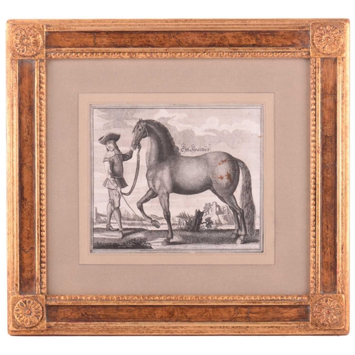 104 - Andreas and Engelhard Nunzer (Early 18th century) German, Horse Breeds - a set of six with handlers ... 