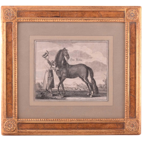 104 - Andreas and Engelhard Nunzer (Early 18th century) German, Horse Breeds - a set of six with handlers ... 