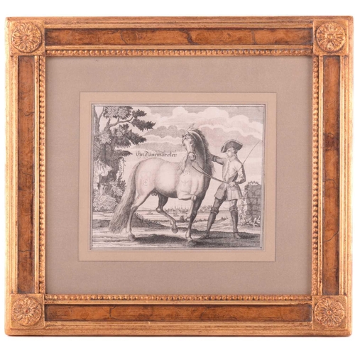 104 - Andreas and Engelhard Nunzer (Early 18th century) German, Horse Breeds - a set of six with handlers ... 