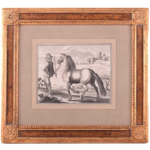 104 - Andreas and Engelhard Nunzer (Early 18th century) German, Horse Breeds - a set of six with handlers ... 