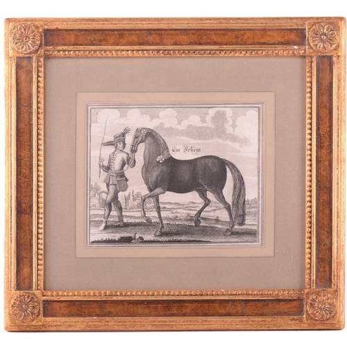 104 - Andreas and Engelhard Nunzer (Early 18th century) German, Horse Breeds - a set of six with handlers ... 