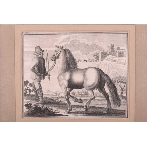 104 - Andreas and Engelhard Nunzer (Early 18th century) German, Horse Breeds - a set of six with handlers ... 