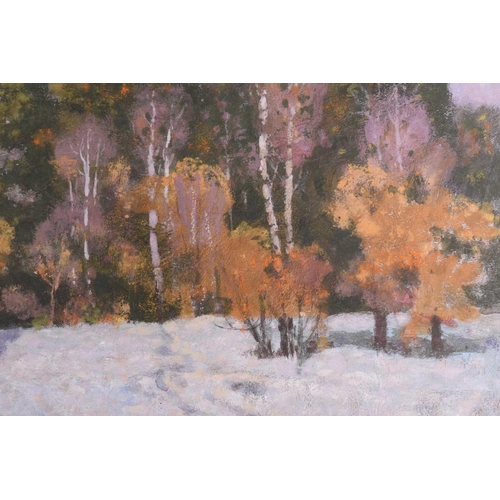 23 - Arseny Vlasov (1914 - 1997), Russian, Winter Woods, signed A Vlasov, oil on board, 50 cm x 71 cm gla... 