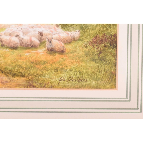 14 - George Shalders (1826 - 1873), sheep resting by a lane with a cart beyond, signed, watercolour, 22 x... 