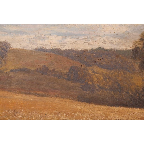 29 - George Vicat Cole (1833- 1893), Cornfield, monogrammed, oil on board, 40 cm x 52 cm, in a gilt frame... 