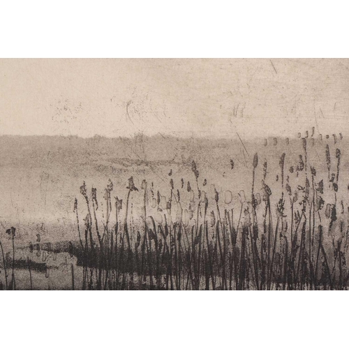 42 - † Norman Ackroyd (b.1938), Brancaster Sunset, signed and dated '05, titled and numbered 86/90 in pen... 