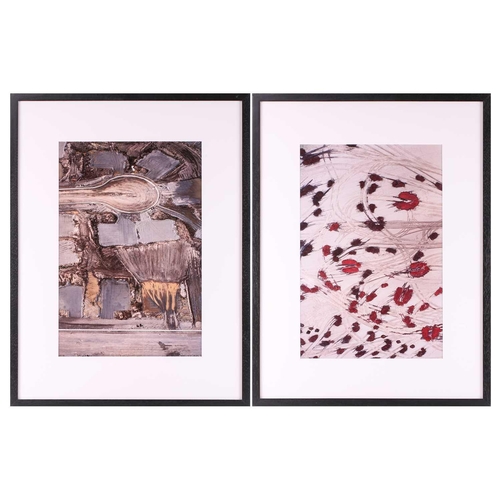 49 - Mark Abrahamson (late 20th century), American, Strawberry Field #5 and Cul de Sac, Cibachrome prints... 