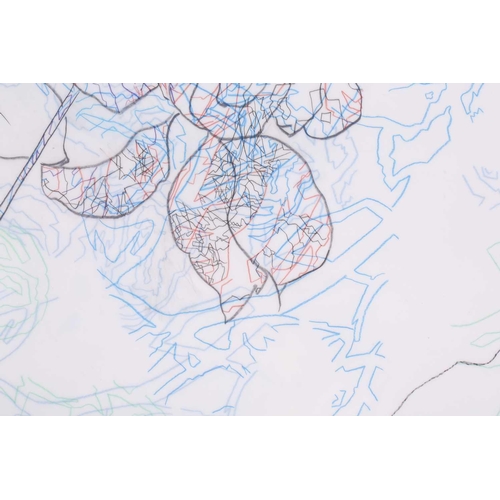 56 - † Angela Nordenstedt (b.1963) Spanish, 'Untitled', 2002, initialled and dated, pencil on polyester, ... 